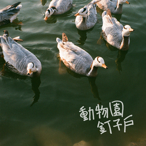 强奸美国女生视频？
