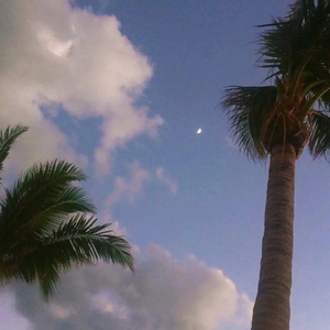 强奸美国女生视频？
